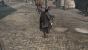 Assassin's Creed 3 mit maximaler DirectX 11-Grafik (6)