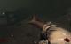 Call of Duty Black Ops 2: Der Zombiemodus im Spielabschnitt "Tranzit" mit maximalen Details in Full-HD (100)