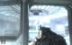 Call of Duty Black Ops 2: Der Zombiemodus im Spielabschnitt "Tranzit" mit maximalen Details in Full-HD (134)