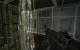 CoD - Black Ops 2: Bilder aus dem Multiplayer mit maximalen Details in Full-HD - Karten: Express,Raid und Carrier (85)
