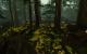 Primal Carnage im Test (1)