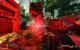 Primal Carnage im Test (19)