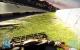 Battlefield 3 - Bandar Desert: Intensivere Beleuchtung und sattere Farben dank Farbmod (22)