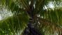 Crysis 1 by Tom Yum 72 (2)