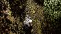 Crysis 1 by Tom Yum 72 (3)