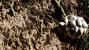 Crysis 1 by Tom Yum 72 (4)