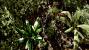 Crysis 1 by Tom Yum 72 (5)