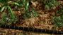 Crysis 1 by Tom Yum 72 (6)