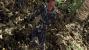 Crysis 1 by Tom Yum 72 (7)