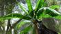 Crysis 1 by Tom Yum 72 (3)
