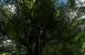 Far Cry 3 by Jay.Gee (3)