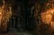 Far Cry 3 by Jay.Gee (5)