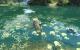 Far Cry 3 by IntelQ9550Reaktor (7)