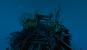 Far Cry 3 by IntelQ9550Reaktor (13)
