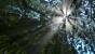 Far Cry 3 by Jay.Gee (1)