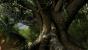 Far Cry 3 by Jay.Gee (5)