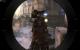 Rage-DLC The Scorchers im Test (32)