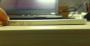 Ein verbogenes und noch funktionierendes iPhone 5. (6)