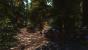 Skyrim by jim2point0 (7)