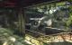 Crysis 3 MP Beta downsampled (10)