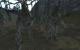 "Third Age"-Mod: 14 Fraktion, 25 authentische Orte und detaillierte Einheiten wie Orcs, Ents oder riesige Mumakil - ein episches "Herr der Ringe"-Spektakel (5)