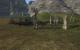 "Third Age"-Mod: 14 Fraktion, 25 authentische Orte und detaillierte Einheiten wie Orcs, Ents oder riesige Mumakil - ein episches "Herr der Ringe"-Spektakel (15)