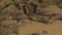 Crysis 1 (Texturen)