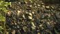 Crysis 3 (Texturen)