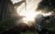Crysis 3: Die PCGH Grafikkarten-Testszene "Fields", Abschnitt "Welcome to the jungle" (5)