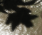 Shadowmap 2k