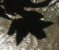 Shadowmap 4k