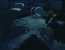 Aliens Colonial Marines im Test: Minimale Grafikdetails