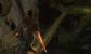 Tomb Raider mit Tress FX (3)