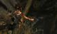 Tomb Raider ohne Tress FX (4)