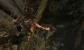 Tomb Raider mit Tress FX (4)