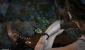 Tomb Raider mit TressFX: Hochauflösende Bilder (6)