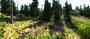 Unigine Valley-Benchmark (12)