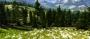Unigine Valley-Benchmark (14)