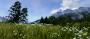 Unigine Valley-Benchmark (16)