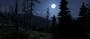 Unigine Valley-Benchmark (18)