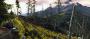 Unigine Valley-Benchmark (21)