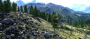 Unigine Valley Benchmark Details High