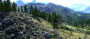 Unigine Valley Benchmark Details Medium