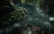 Crysis 3 by BlackF0g (11)