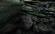Crysis 3 by BlackF0g (28)