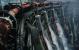 Crysis 3 by BlackF0g (32)