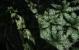 Crysis 3 by BlackF0g (33)