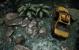 Crysis 3 by BlackF0g (36)
