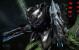 Crysis 3 by BlackF0g (5)