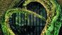 Batman Arlham City: Tesselierung an